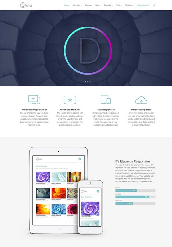 divi-2013-design 3