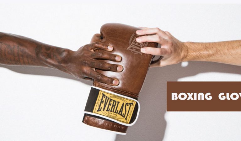 Everlast Boxing Gloves Review